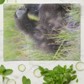 最も可愛い赤ん坊の動物 |ベビーブラウンベア キッチンタオル (折り畳み)