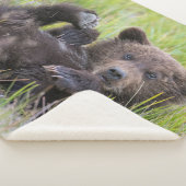 最も可愛い赤ん坊の動物 |ベビーブラウンベア シェルパブランケット (3/4)