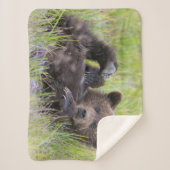 最も可愛い赤ん坊の動物 |ベビーブラウンベア シェルパブランケット (正面)