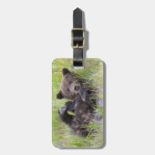 最も可愛い赤ん坊の動物 |ベビーブラウンベア ラゲッジタグ (正面縦)