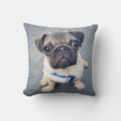 最も可愛い赤ん坊の動物 |ベビープーグ クッション (正面)