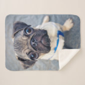 最も可愛い赤ん坊の動物 |ベビープーグ シェルパブランケット (正面(横))