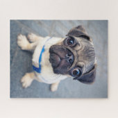 最も可愛い赤ん坊の動物 |ベビープーグ ジグソーパズル (横)