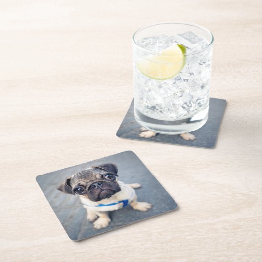 最も可愛い赤ん坊の動物 |ベビープーグ スクエアペーパーコースター (インサイチュ)