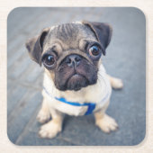 最も可愛い赤ん坊の動物 |ベビープーグ スクエアペーパーコースター (正面)
