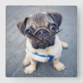 最も可愛い赤ん坊の動物 |ベビープーグ スクエア壁時計 (正面)