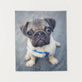 最も可愛い赤ん坊の動物 |ベビープーグ タペストリー (正面)