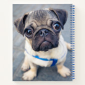 最も可愛い赤ん坊の動物 |ベビープーグ ノートブック (裏面)