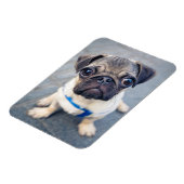 最も可愛い赤ん坊の動物 |ベビープーグ マグネット (左側)