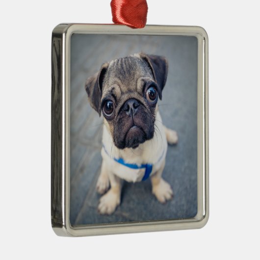 最も可愛い赤ん坊の動物 |ベビープーグ メタルオーナメント (右)