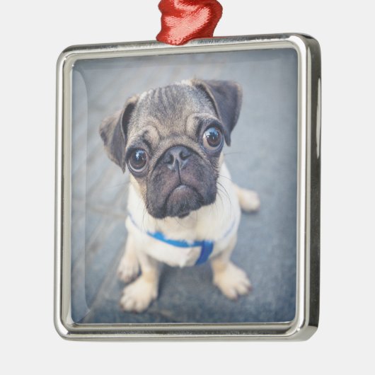 最も可愛い赤ん坊の動物 |ベビープーグ メタルオーナメント (左)