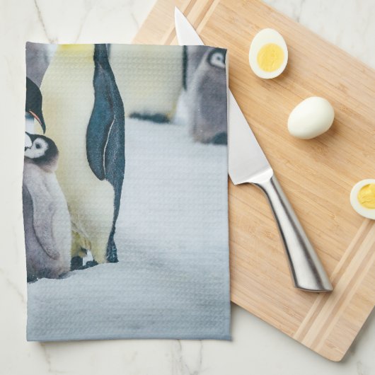 最も可愛い赤ん坊の動物 |ベビーペンギン食べ物を与えズ キッチンタオル (四つ折り)