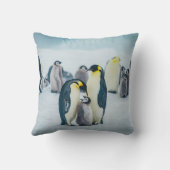 最も可愛い赤ん坊の動物 |ベビーペンギン食べ物を与えズ クッション (裏面)