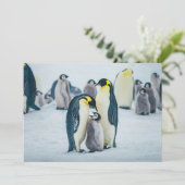 最も可愛い赤ん坊の動物 |ベビーペンギン食べ物を与えズ サンキューカード (スタンド正面)