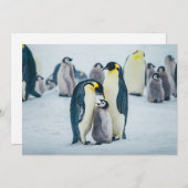 最も可愛い赤ん坊の動物 |ベビーペンギン食べ物を与えズ サンキューカード (正面/裏面)