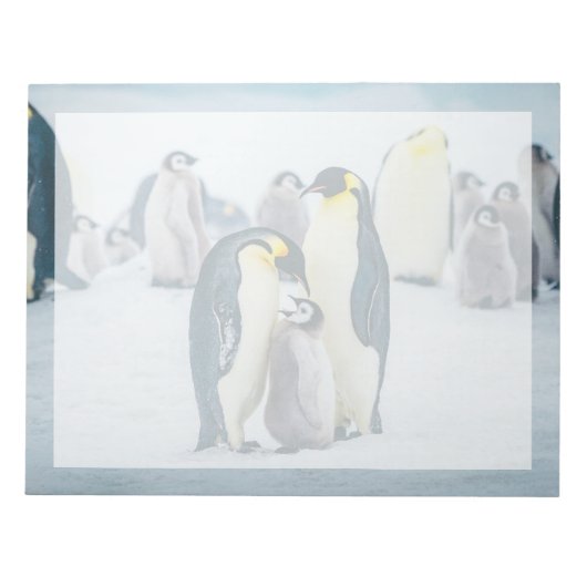 最も可愛い赤ん坊の動物 |ベビーペンギン食べ物を与えズ ノートパッド (正面)