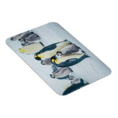 最も可愛い赤ん坊の動物 |ベビーペンギン食べ物を与えズ マグネット (右側)