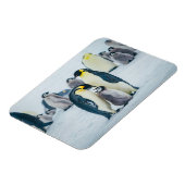 最も可愛い赤ん坊の動物 |ベビーペンギン食べ物を与えズ マグネット (左側)