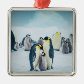 最も可愛い赤ん坊の動物 |ベビーペンギン食べ物を与えズ メタルオーナメント (正面)