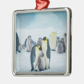 最も可愛い赤ん坊の動物 |ベビーペンギン食べ物を与えズ メタルオーナメント (左)