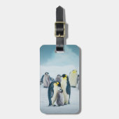 最も可愛い赤ん坊の動物 |ベビーペンギン食べ物を与えズ ラゲッジタグ (正面縦)