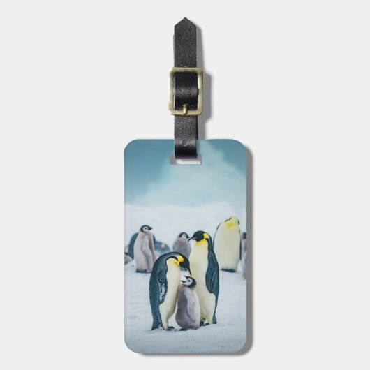 最も可愛い赤ん坊の動物 |ベビーペンギン食べ物を与えズ ラゲッジタグ (正面縦)