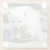 最も可愛い赤ん坊の動物 |ベビーホッキョクグマ ガラスコースター (裏面)