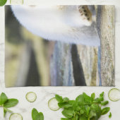 最も可愛い赤ん坊の動物 |ベビーホッキョクグマ キッチンタオル (折り畳み)