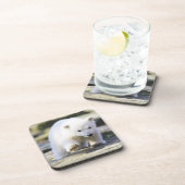 最も可愛い赤ん坊の動物 |ベビーホッキョクグマ コースター (右側)