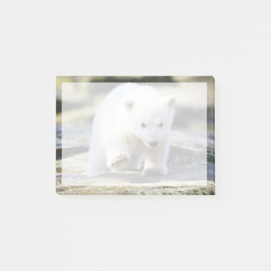 最も可愛い赤ん坊の動物 |ベビーホッキョクグマ ポストイット (正面)
