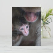最も可愛い赤ん坊の動物 |ベビーマカケのサル&マザー サンキューカード (スタンド正面)