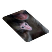 最も可愛い赤ん坊の動物 |ベビーマカケのサル&マザー マグネット (右側)