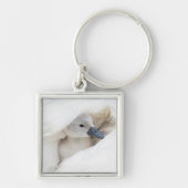 最も可愛い赤ん坊の動物 |ベビーミュート キーホルダー (正面)