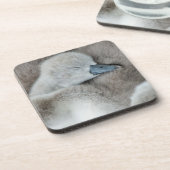 最も可愛い赤ん坊の動物 |ベビーミュート コースター (左側)