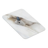 最も可愛い赤ん坊の動物 |ベビーミュート マグネット (右側)