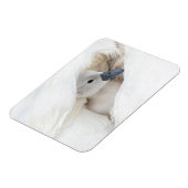 最も可愛い赤ん坊の動物 |ベビーミュート マグネット (左側)