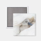 最も可愛い赤ん坊の動物 |ベビーミュート マグネット (正面/裏面)