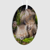 最も可愛い赤ん坊の動物 |ベビーレッドキツネキットスリープ オーナメント (正面)