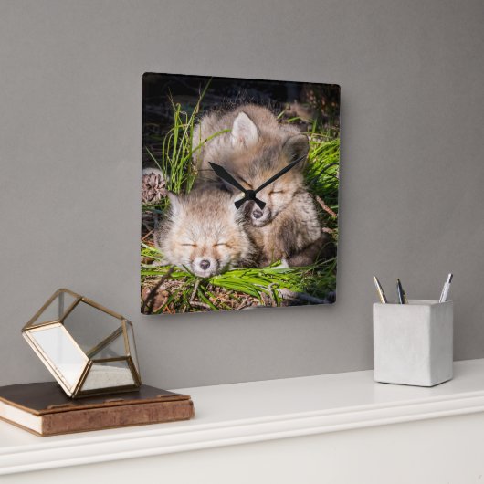 最も可愛い赤ん坊の動物 |ベビーレッドキツネキットスリープ スクエア壁時計 (オフィス)