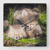 最も可愛い赤ん坊の動物 |ベビーレッドキツネキットスリープ スクエア壁時計 (正面)