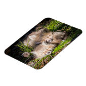 最も可愛い赤ん坊の動物 |ベビーレッドキツネキットスリープ マグネット (左側)