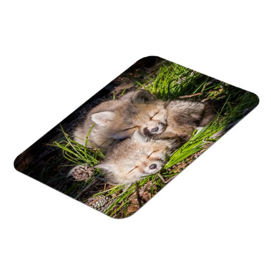 最も可愛い赤ん坊の動物 |ベビーレッドキツネキットスリープ マグネット (左側)