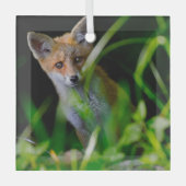 最も可愛い赤ん坊の動物 |ベビーレッドキツネ ガラスオーナメント (正面)