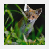 最も可愛い赤ん坊の動物 |ベビーレッドキツネ ガラスオーナメント (裏面)