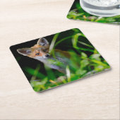 最も可愛い赤ん坊の動物 |ベビーレッドキツネ スクエアペーパーコースター (アングル)