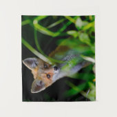 最も可愛い赤ん坊の動物 |ベビーレッドキツネ タペストリー (正面)