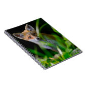 最も可愛い赤ん坊の動物 |ベビーレッドキツネ ノートブック (右側)