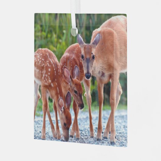 最も可愛い赤ん坊の動物 |ベビー付き ガラスオーナメント (正面左)