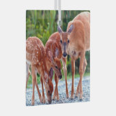 最も可愛い赤ん坊の動物 |ベビー付き ガラスオーナメント (正面右)