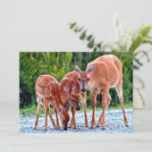 最も可愛い赤ん坊の動物 |ベビー付き サンキューカード (スタンド正面)